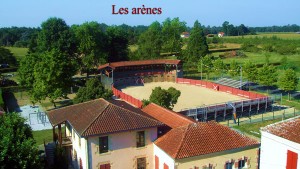 ARENES