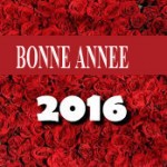 bonne-annee-3