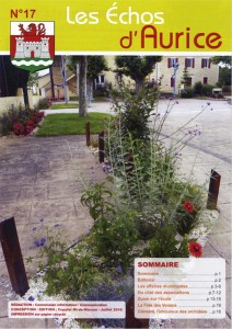 couverture-les-echos-n17