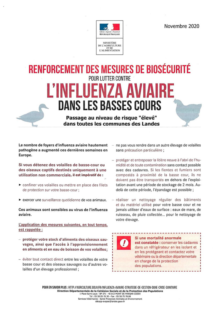 courrier-aux-maires,-grippe-aviaire,-risque-élevé-3